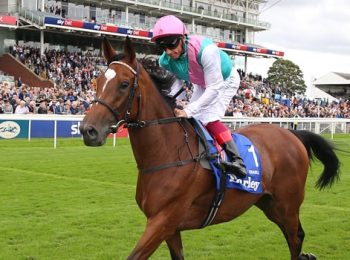 Enable fails to make history